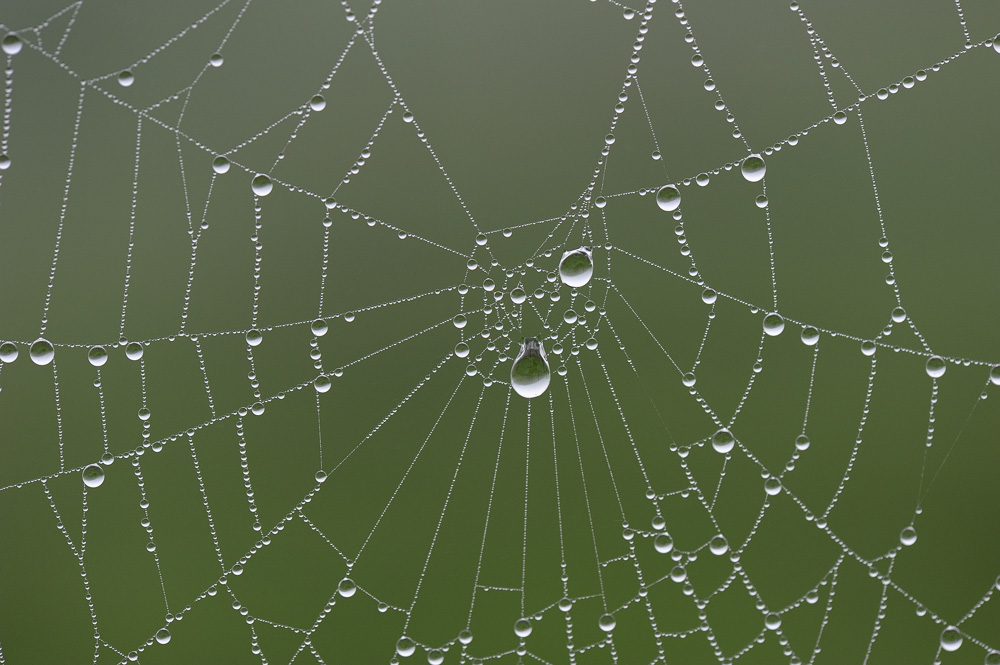 Kerler das Werk ist vollbracht